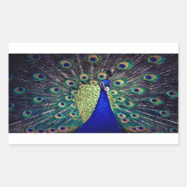 Cobalt Blue Peacock Rechteckiger Aufkleber
