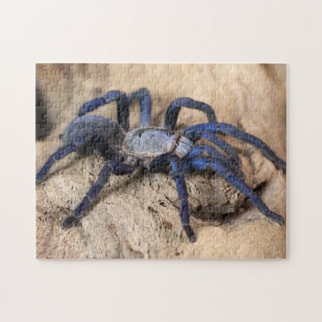 Cobalt Blue Tarantula Spider Puzzle (Horizontal)