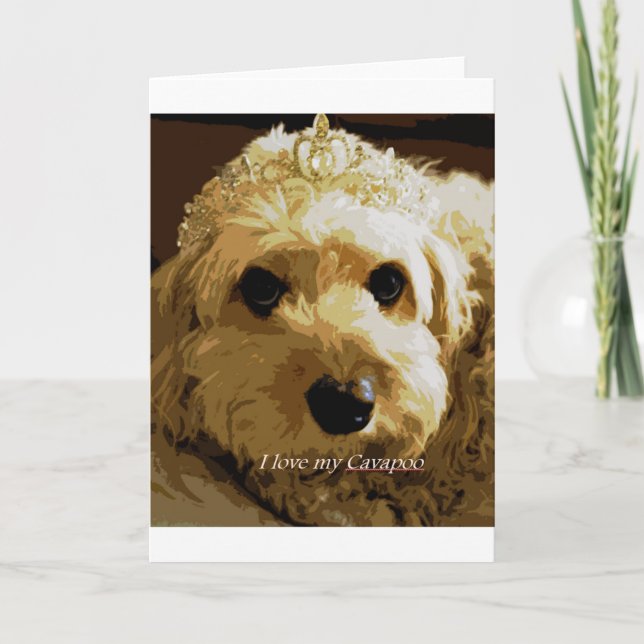 CobaltMoonDesign Cavapoo Gruß-Karte Karte (Vorderseite)