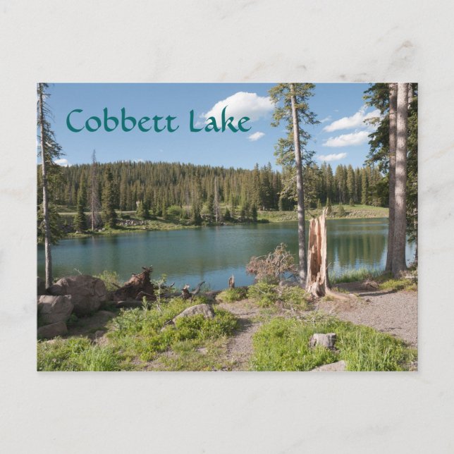 Cobbett Lake Postkarte (Vorderseite)
