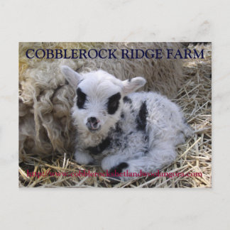 COBBLEROCK RIDGE FARM POST CARD POSTKARTE