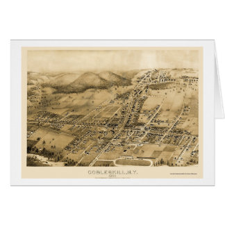 Cobbleskill, NY panoramische Karte - 1883