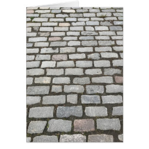 Cobblestone Walkway, Central Park, New York City