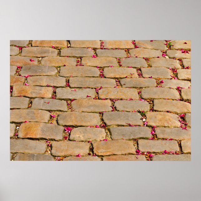 Cobblestone-Wanderdetails Poster (Vorne)