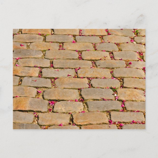 Cobblestone-Wanderdetails Postkarte (Vorderseite)