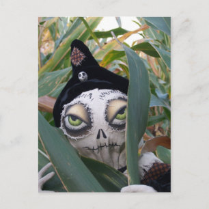 Cobby Postcard Postkarte