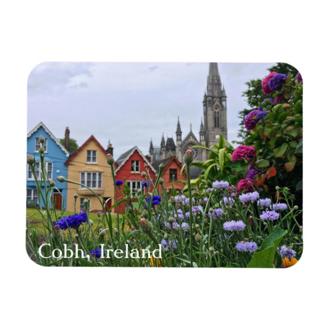 Cobh, Ireland Colorful Hydrangeas Magnet (Horizontal)