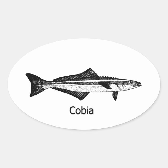 Cobia-Fisch Ovaler Aufkleber (Vorderseite)