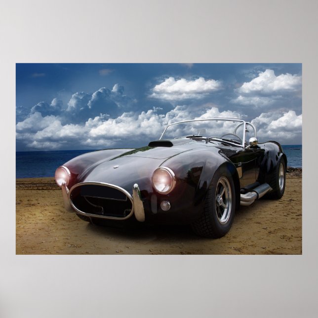 Cobra Classic Poster (Vorne)