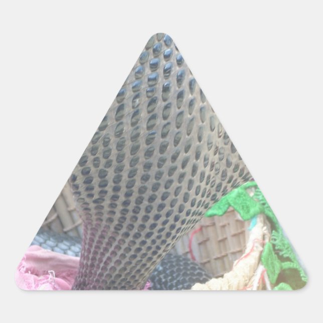 Cobra in Basket Art Print Dreieckiger Aufkleber (Vorderseite)