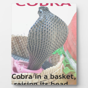 Cobra in Basket Art Print Fotoplatte