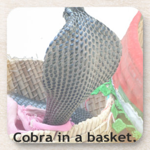 Cobra in Basket Art Print Getränkeuntersetzer
