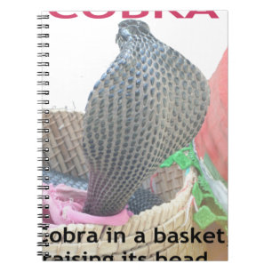 Cobra in Basket Art Print Notizblock