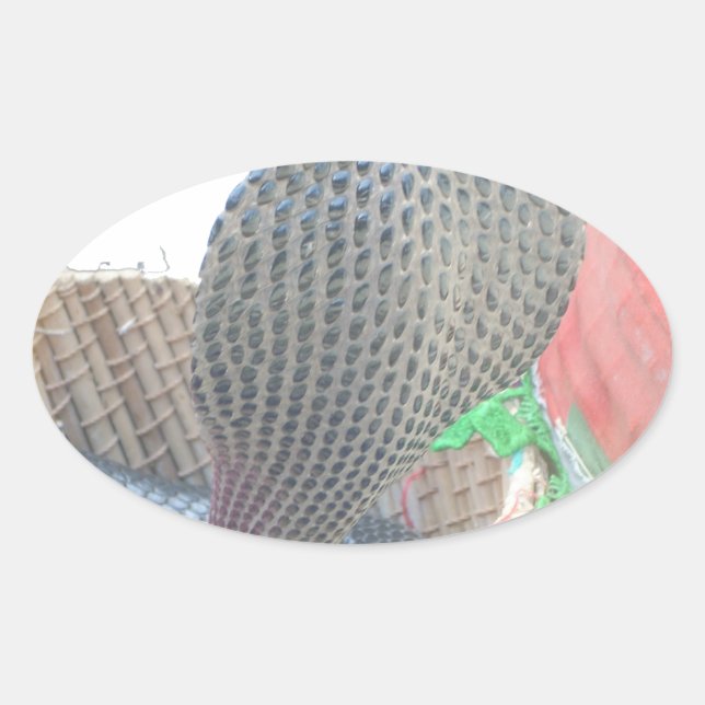 Cobra in Basket Art Print Ovaler Aufkleber (Vorderseite)