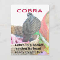 Cobra in Basket Art Print