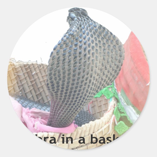 Cobra in Basket Art Print Runder Aufkleber (Vorderseite)
