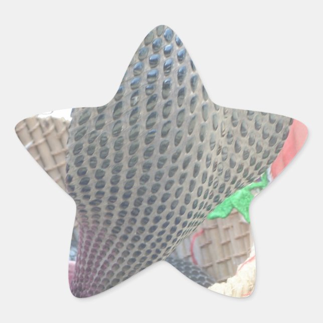 Cobra in Basket Art Print Stern-Aufkleber (Vorderseite)