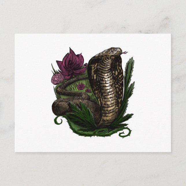 Cobra Postkarte (Vorderseite)