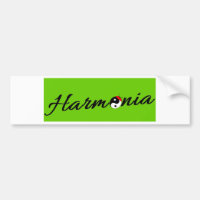 Coccinelle Harmonia zen