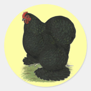 Cochin: Black Hen Runder Aufkleber