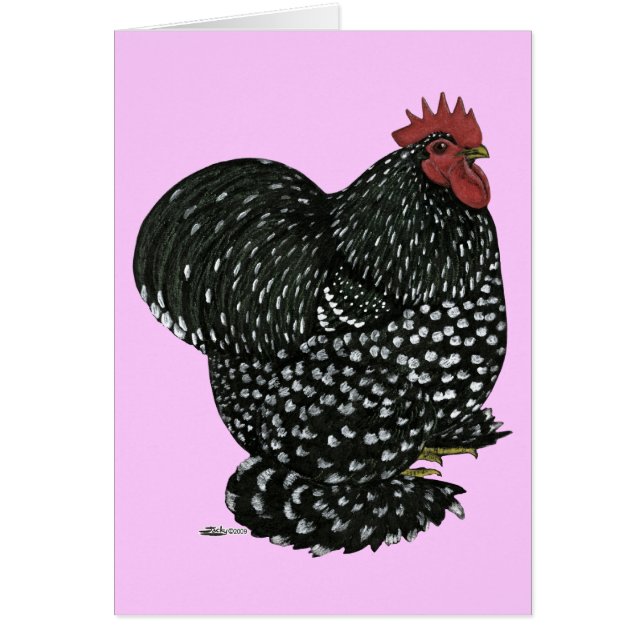 Cochin: Black Mottle (Vorne)