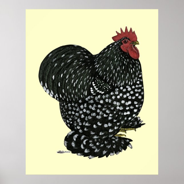 Cochin: Black Mottle Poster (Vorne)