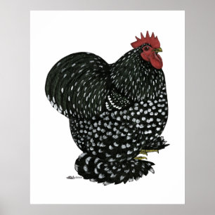 Cochin: Black Mottle Poster