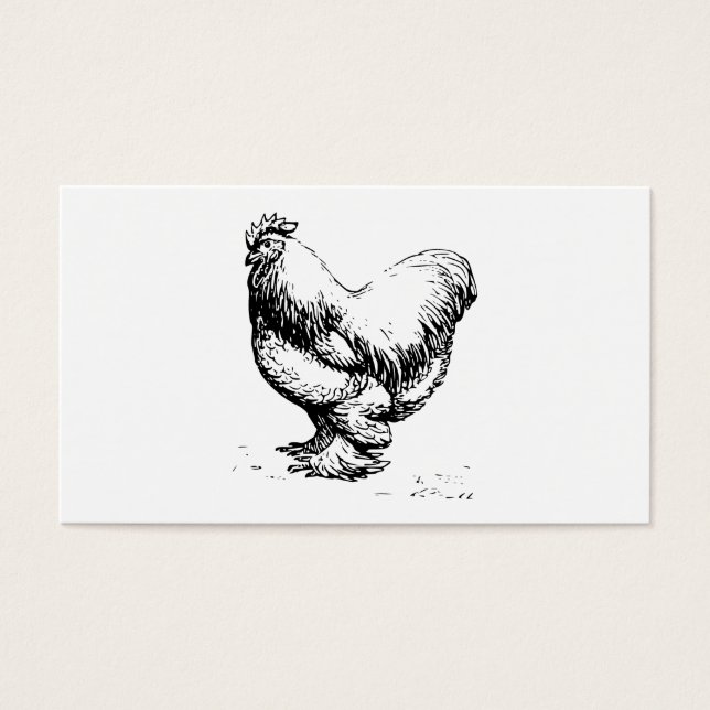 Cochin Chicken (Vorderseite)