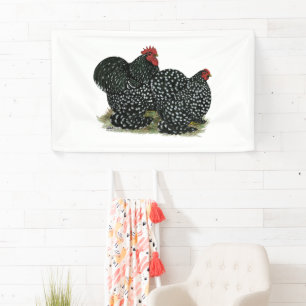 Cochin Mottles Chickens Banner