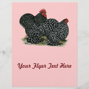 Cochin Mottles Chickens Flyer