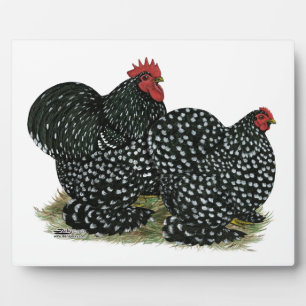 Cochin Mottles Chickens Fotoplatte