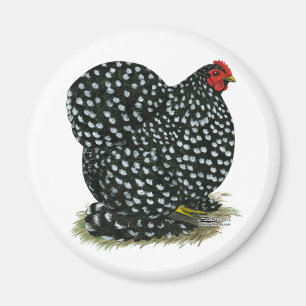 Cochin Mottling Hen Magnet