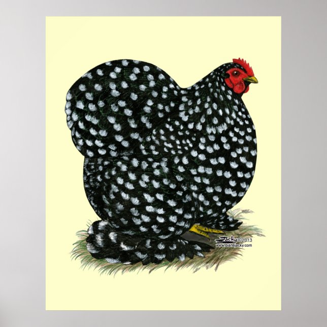 Cochin Mottling Hen Poster (Vorne)