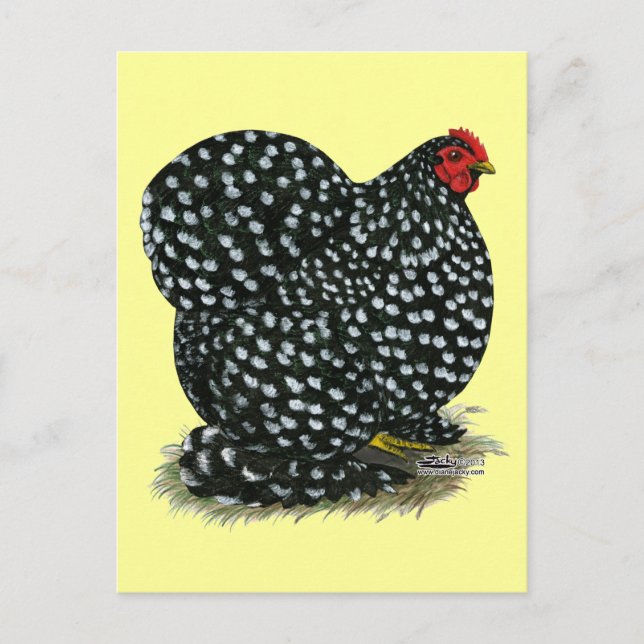Cochin Mottling Hen Postkarte (Vorderseite)