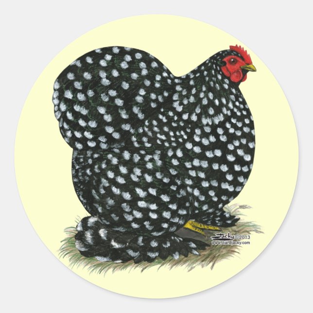 Cochin Mottling Hen Runder Aufkleber (Vorderseite)
