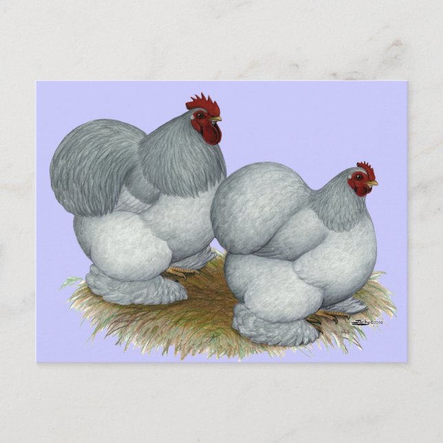 Cochin:  Selbblau Postkarte (Vorderseite)