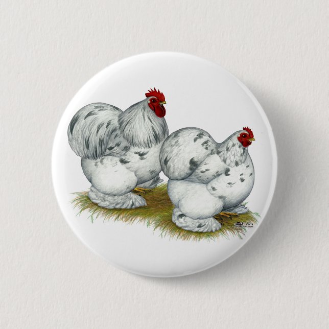 Cochin: Splash Bantams Button (Vorderseite)