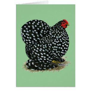 Cochin sprenkelte Henne