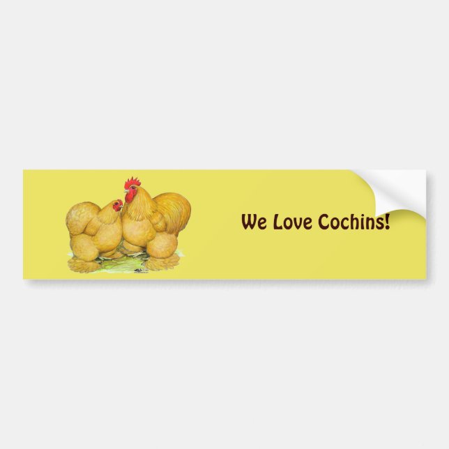 Cochins Buff Pair Autoaufkleber (Vorne)