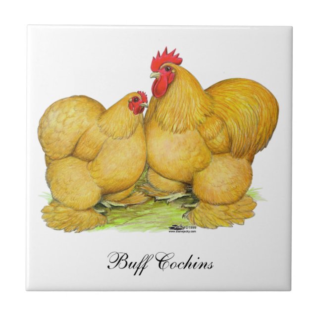 Cochins Buff Pair Fliese (Vorderseite)