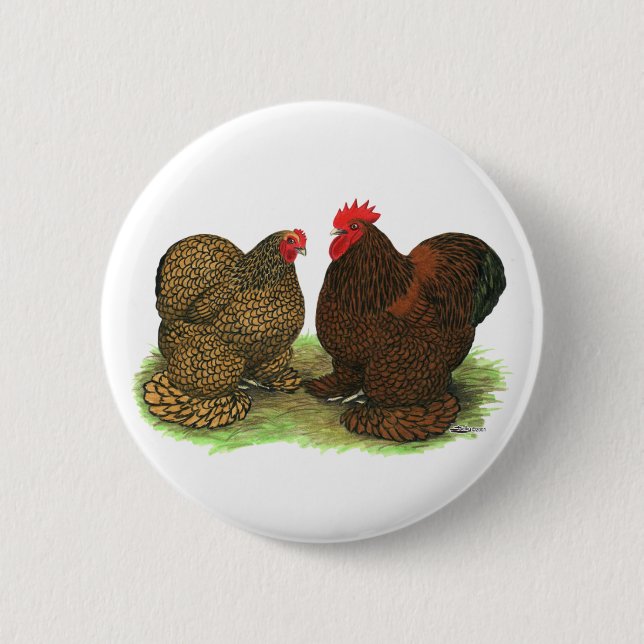Cochins: goldlackiert button (Vorderseite)