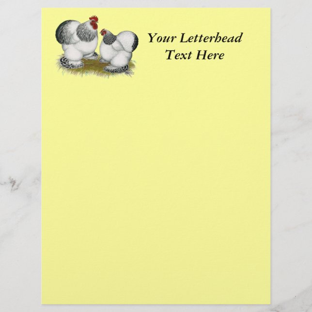 Cochins: Kolumbianische Bantams (Vorderseite)