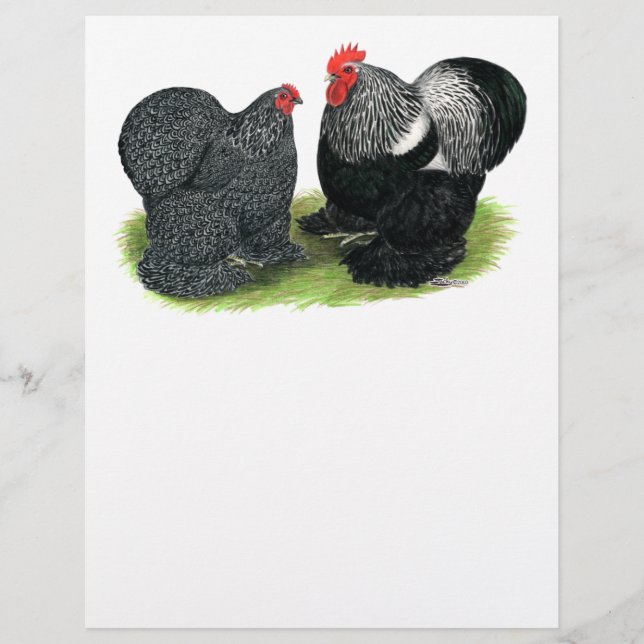 Cochins: silbergepresst flyer (Vorne)