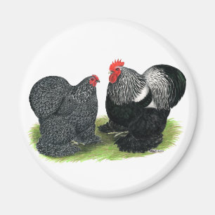 Cochins: silbergepresst magnet