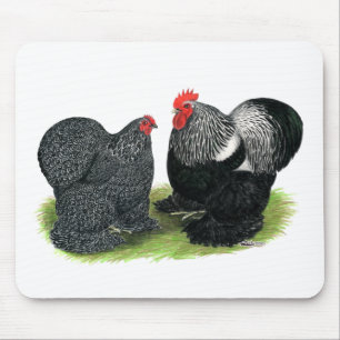 Cochins: silbergepresst mousepad