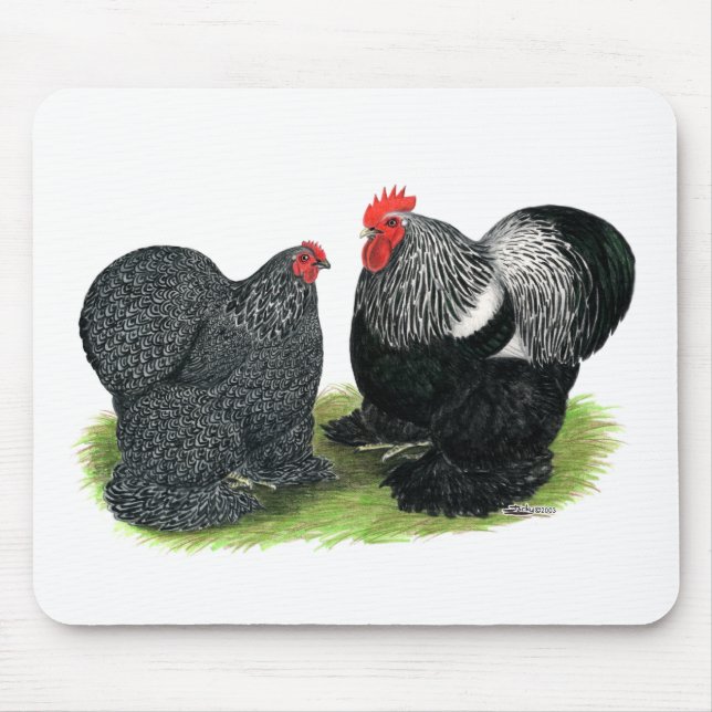 Cochins: silbergepresst mousepad (Vorne)