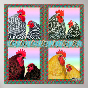 Cochins Vier Farben Poster