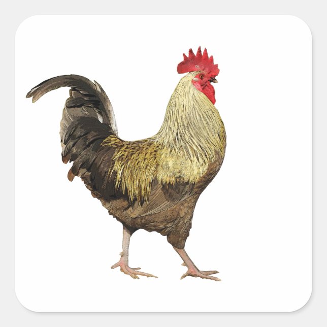 Cock-A-Doodle-Doo-Blatt Stickers (Vorderseite)