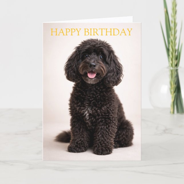 Cockapoo Birthday Card Cute Dog Minimal Design Karte (Vorderseite)