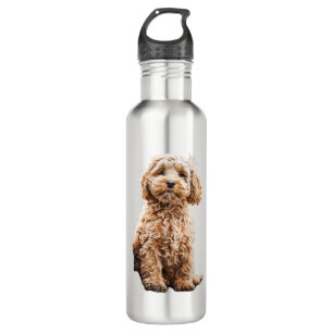Cockapoo Cavoodle Labradoodle Niedlicher Welpenhun Edelstahlflasche